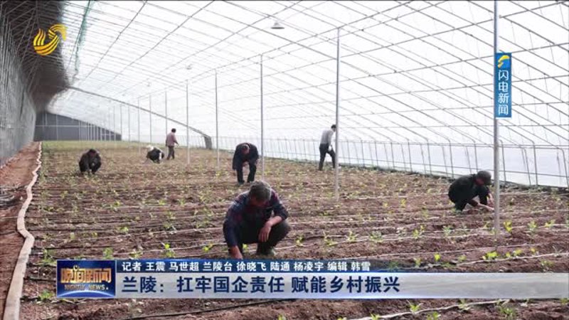 味蕾探索之旅：兰陵县杜侠肉食店如何以风味俘获美食爱好者的心