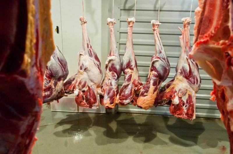 肉食市场上的一抹温情：兰陵猪肉批发行情扫描